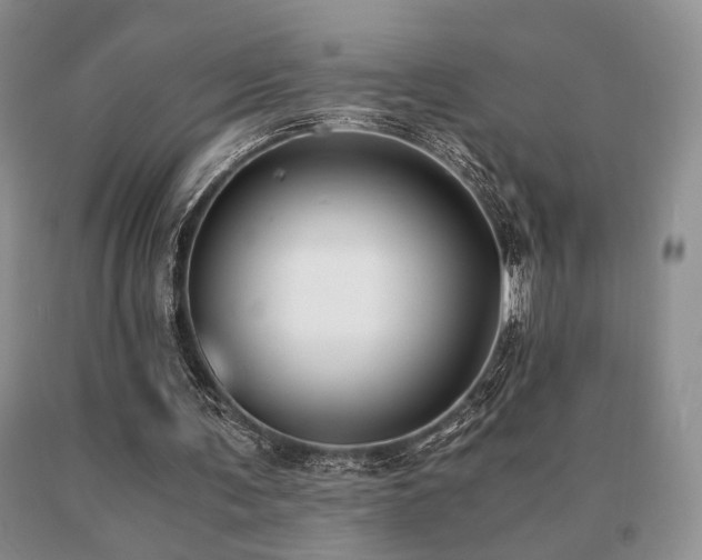 X0000091060291200708061247