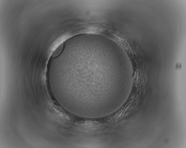 X0000091060292200708061247
