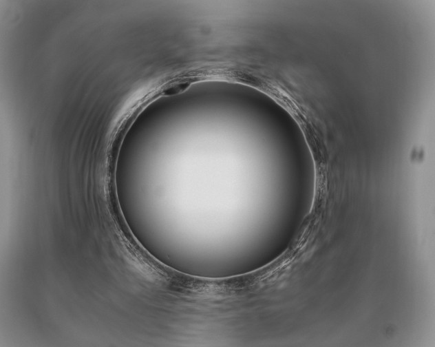 X0000091060293200708061247