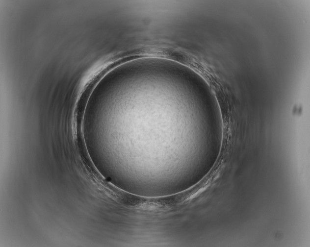 X0000091060294200708061247