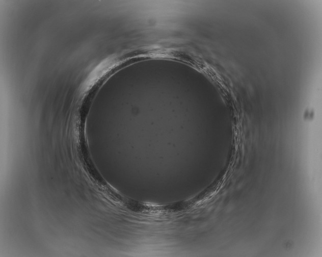 X0000091060295200708061247