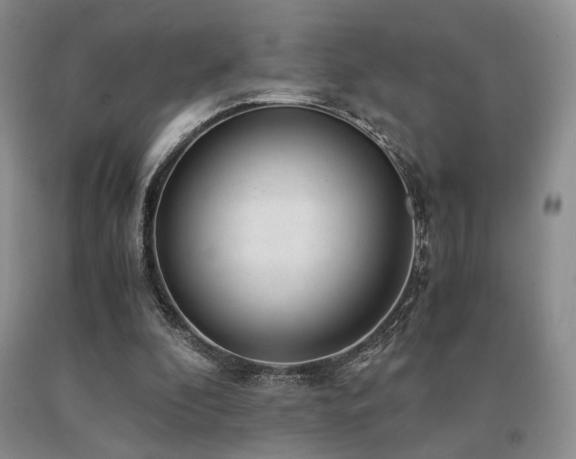 X0000091060296200708061247
