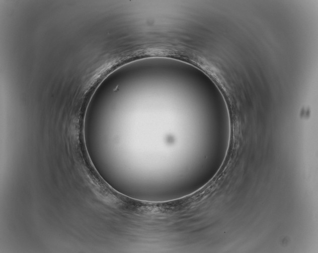X0000091060297200708061247