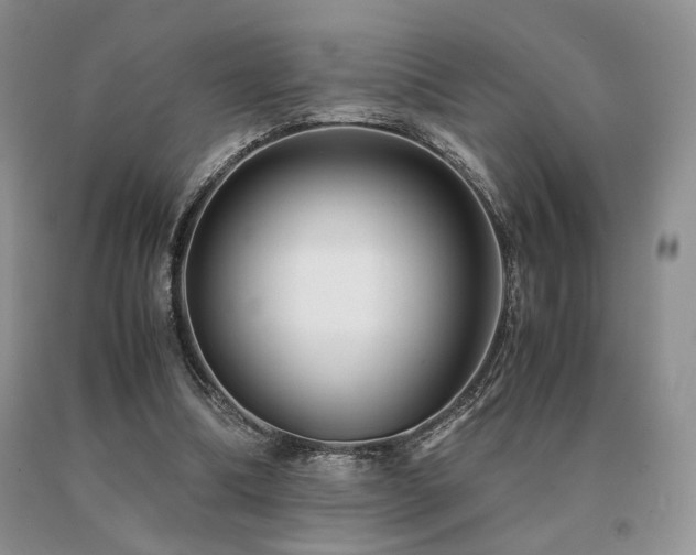 X0000091060298200708061247