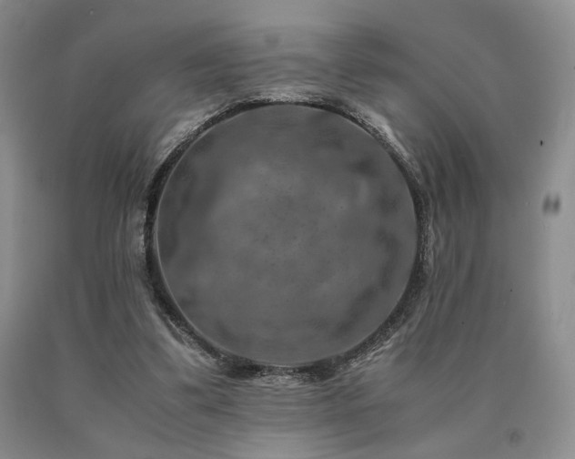 X0000091060299200708061247