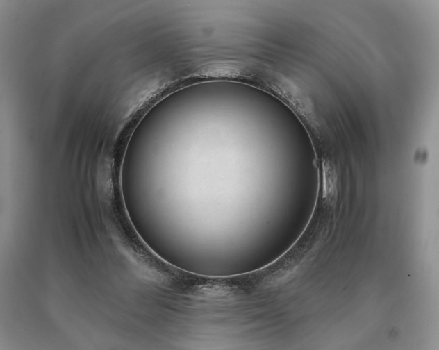 X0000091060300200708061247