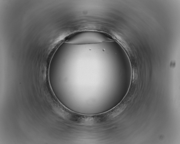 X0000091060301200708061247