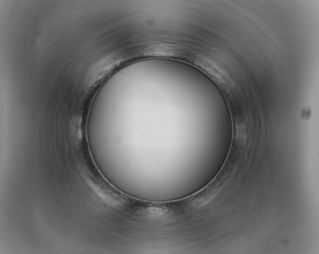X0000091060302200708061247