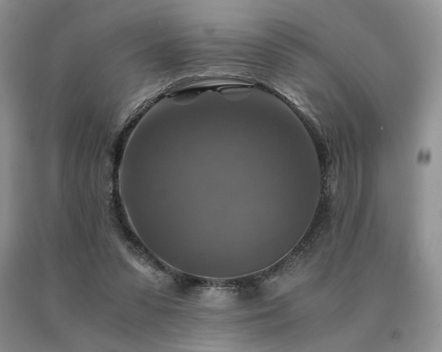 X0000091060303200708061247