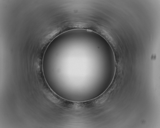 X0000091060305200708061247