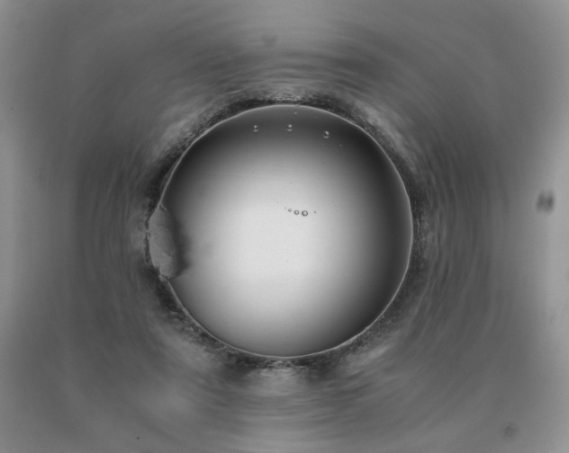 X0000091060307200708061247