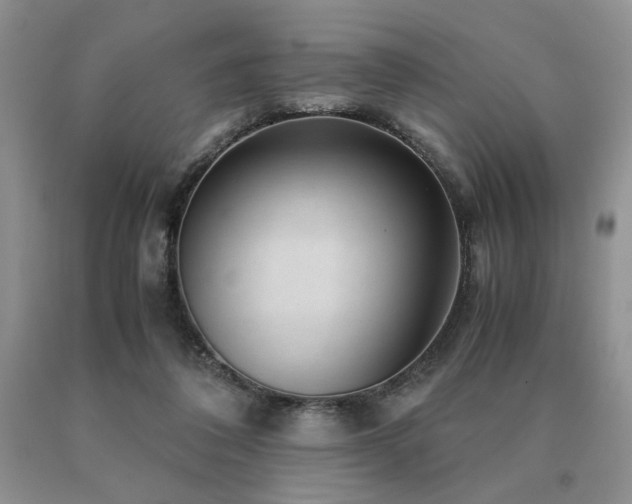 X0000091060308200708061247
