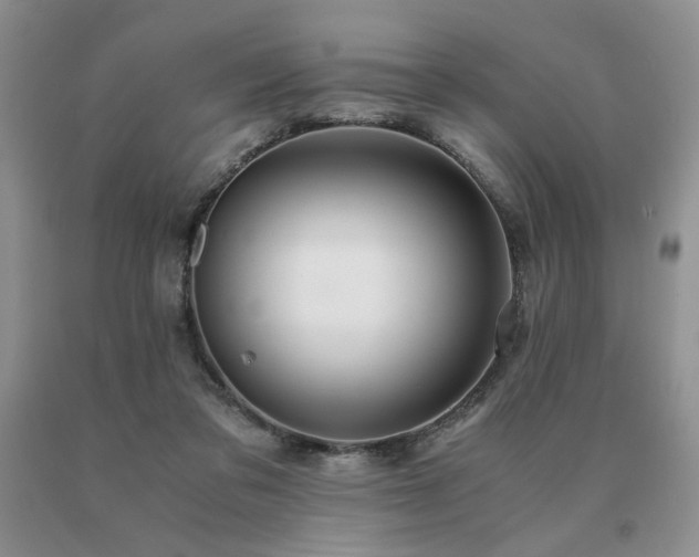 X0000091060309200708061247