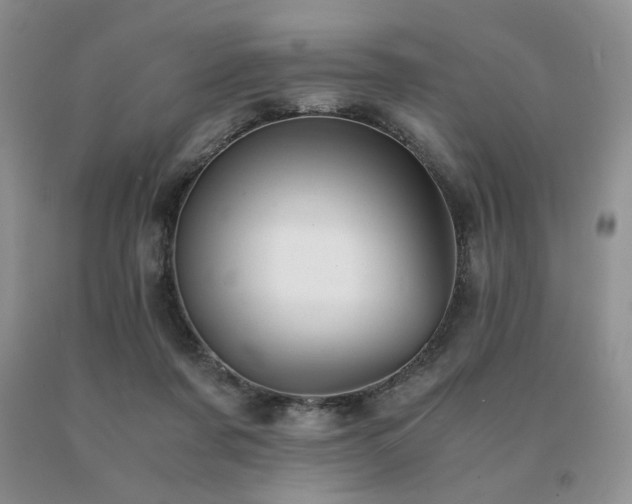 X0000091060311200708061247