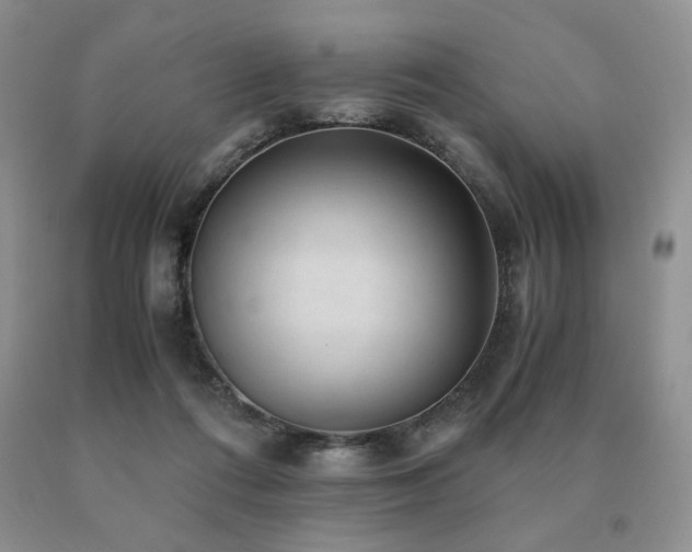 X0000091060312200708061247