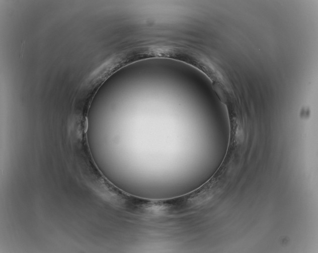 X0000091060313200708061247
