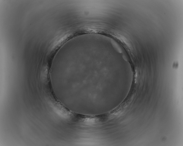 X0000091060314200708061247