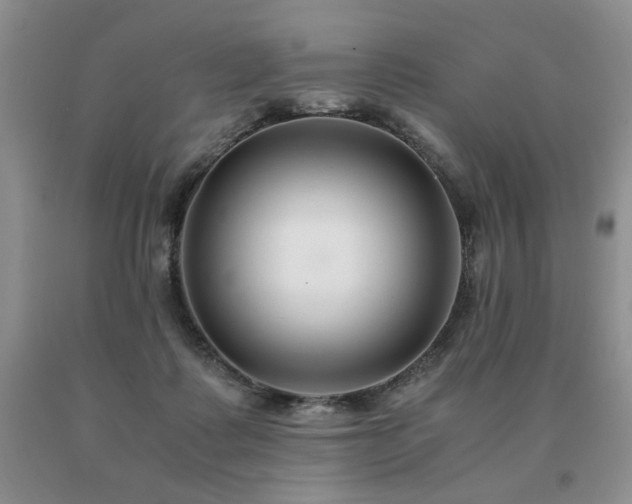X0000091060315200708061247