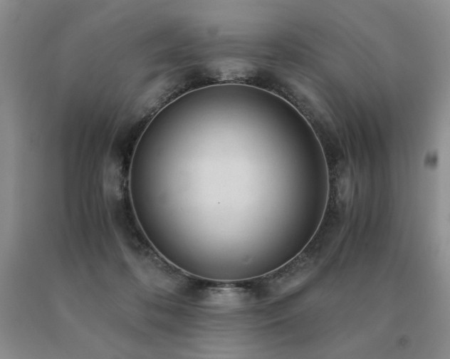 X0000091060316200708061247