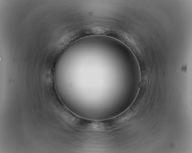 X0000091060317200708061247