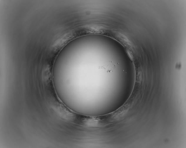 X0000091060318200708061247