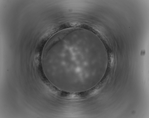 X0000091060319200708061247