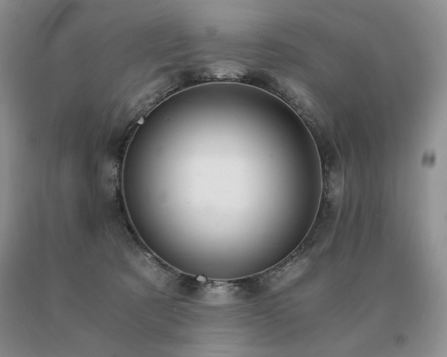 X0000091060321200708061247