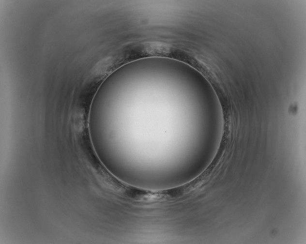 X0000091060323200708061247