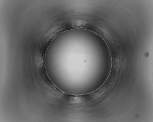 X0000091060324200708061247