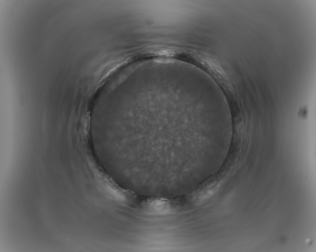 X0000091060325200708061247