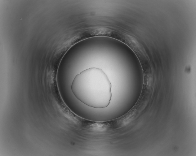 X0000091060326200708061247