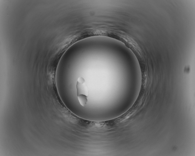 X0000091060329200708061247