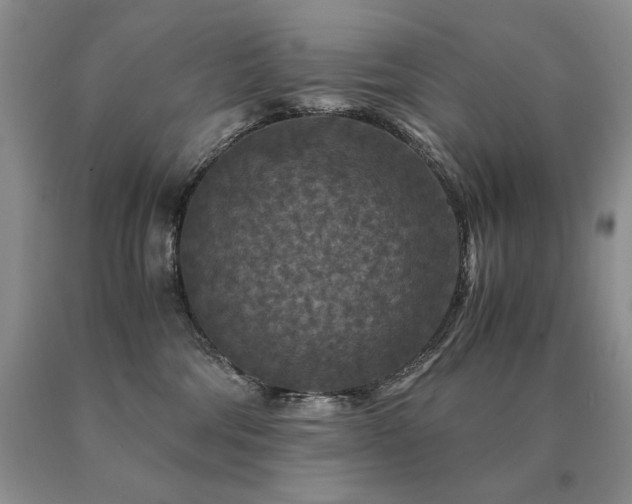 X0000091060330200708061247