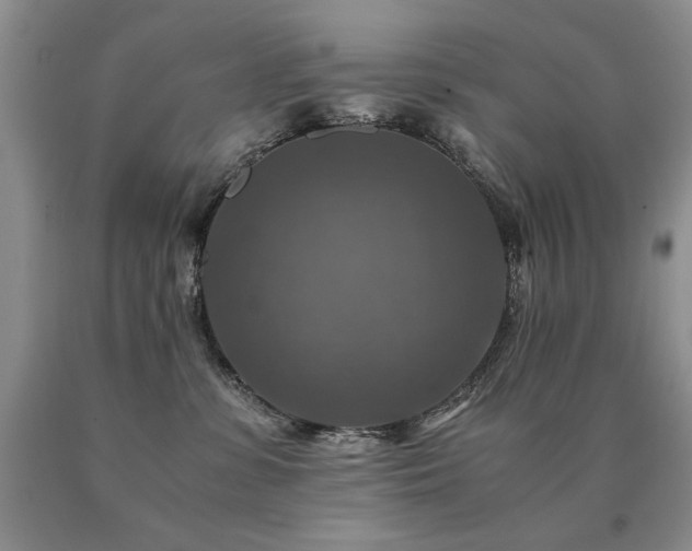 X0000091060331200708061247