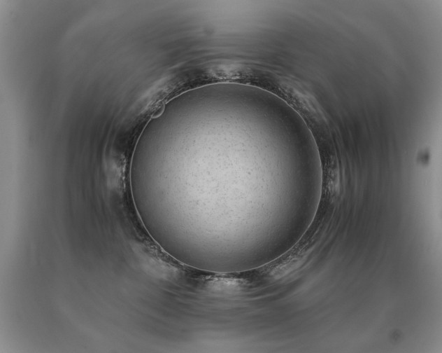 X0000091060332200708061247
