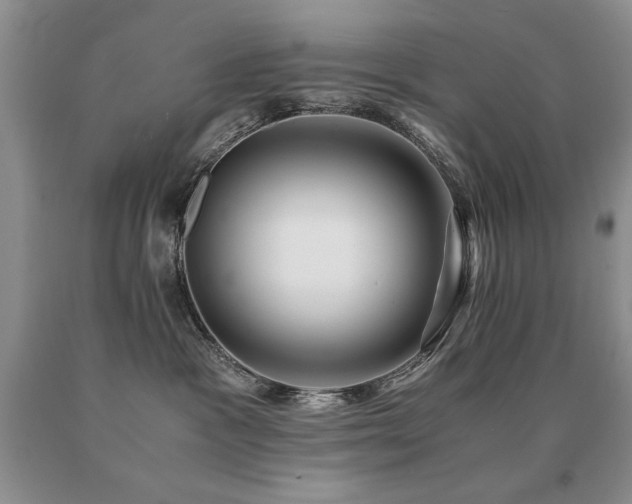 X0000091060333200708061247