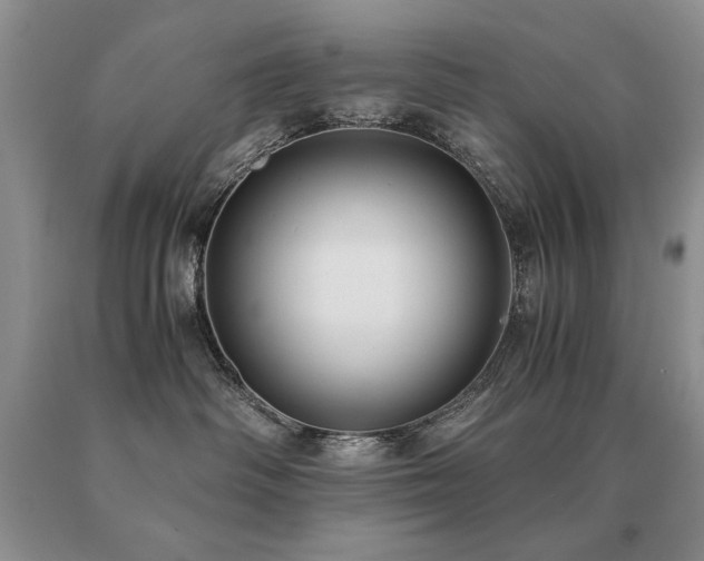 X0000091060334200708061247