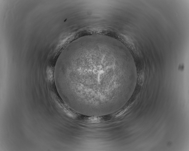 X0000091060335200708061247