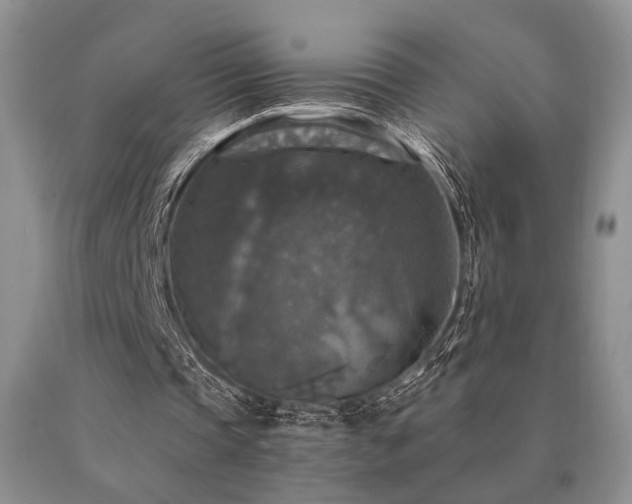 X0000091060337200708061246