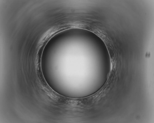 X0000091060339200708061246