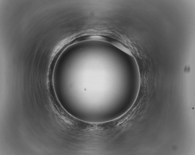 X0000091060340200708061246