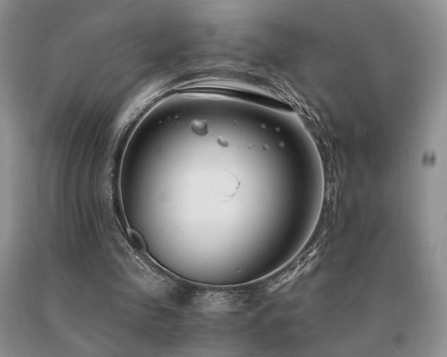 X0000091060341200708061246