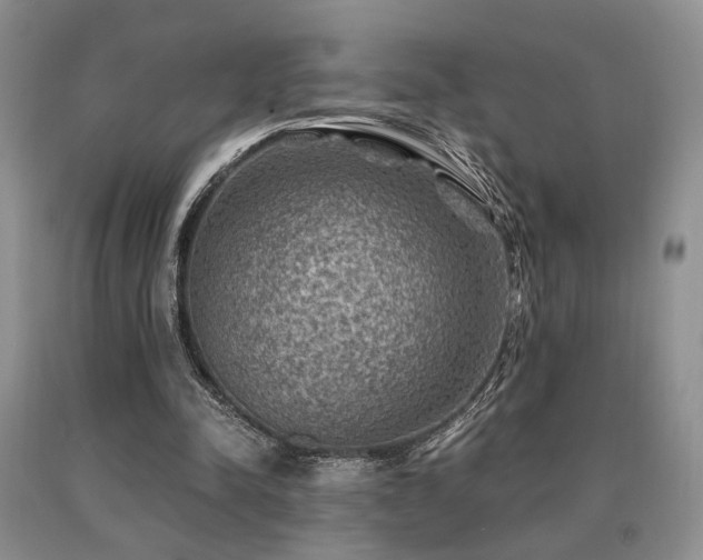 X0000091060342200708061246