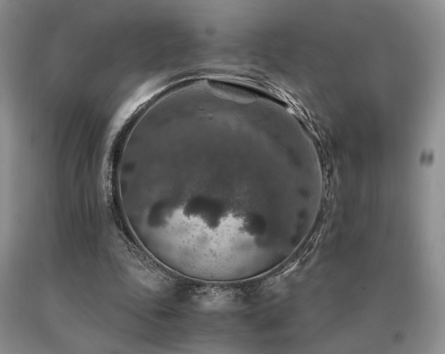 X0000091060343200708061246