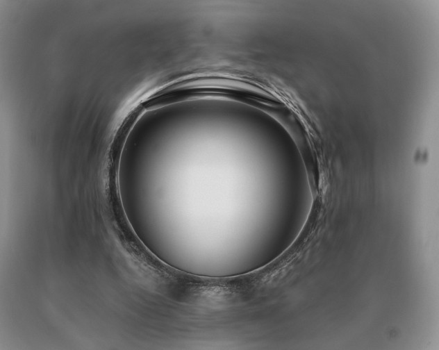 X0000091060344200708061246