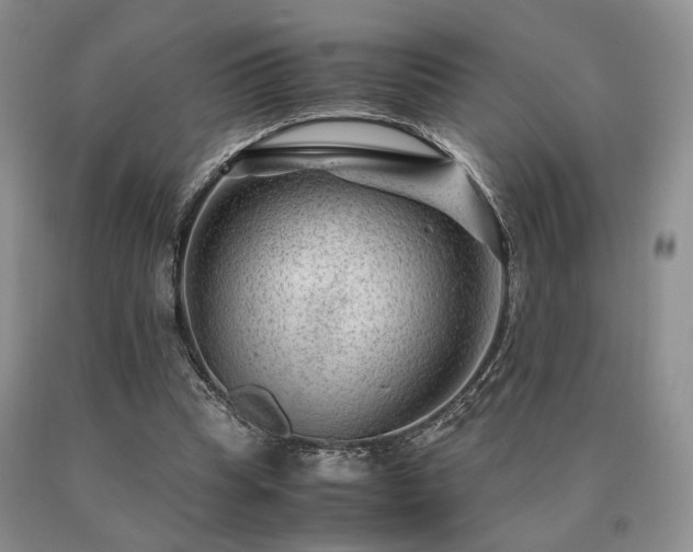 X0000091060345200708061246
