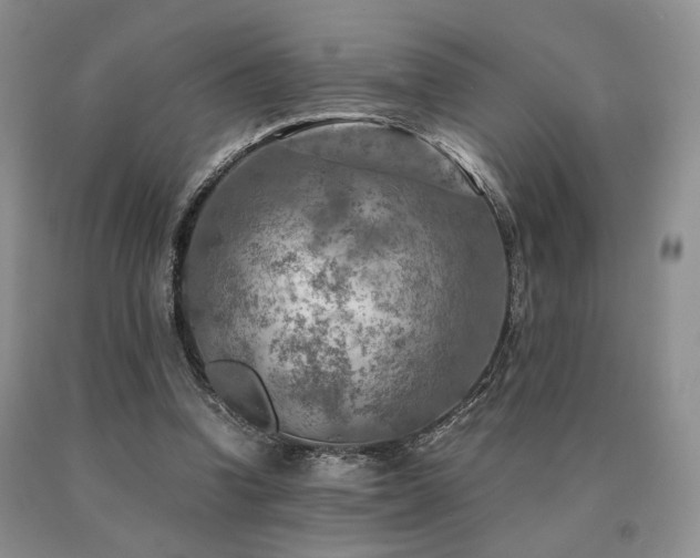X0000091060346200708061246