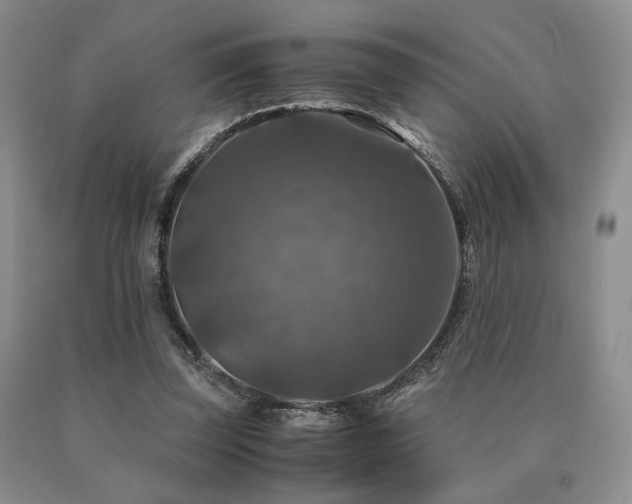 X0000091060347200708061246