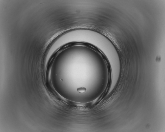 X0000091060348200708061246