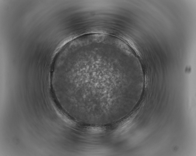 X0000091060349200708061246